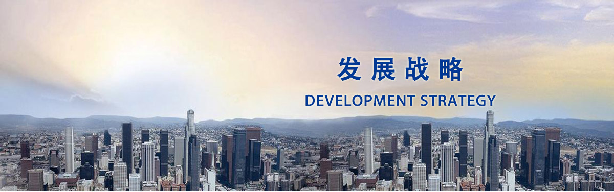 衡工企業(yè)發(fā)展戰略.jpg
